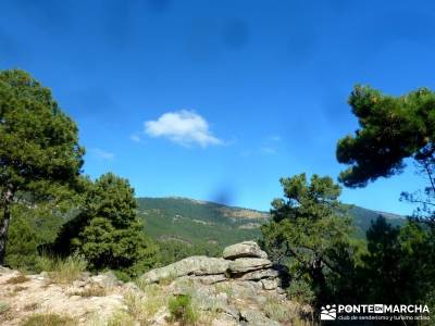 Jarosa - Agua y Bosque Plateado; foro senderismo madrid;vacaciones septiembre;senderistas madrid